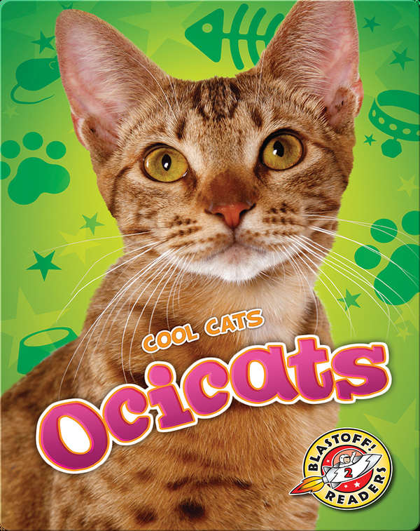 Cool Cats: Ocicats