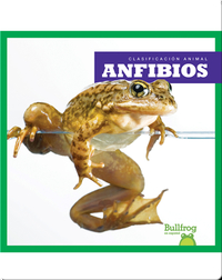 Clasificación Animal: Anfibios