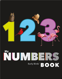 My Numbers Book (Early Birds Learning)