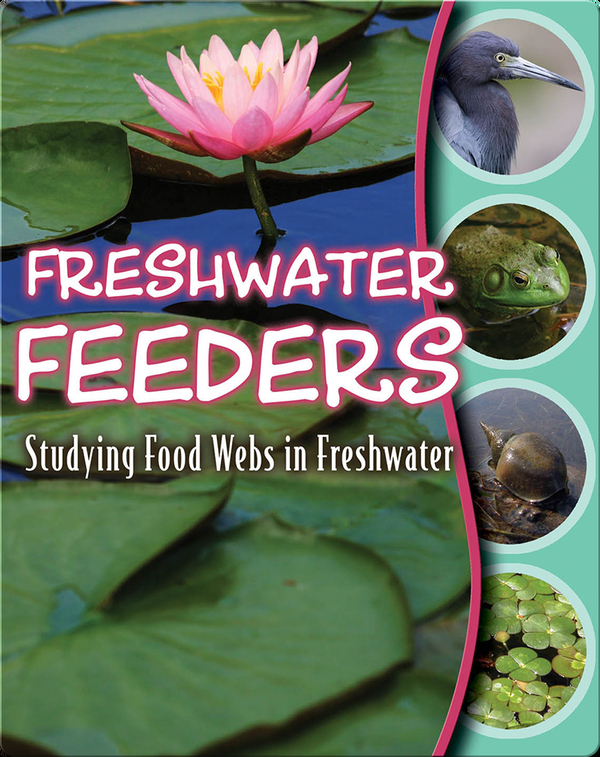 Freshwater Feeders: Studying Food Webs In Freshwater