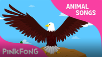 Powerful Bald Eagle (Animal Songs)