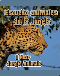 Escucho Animales De La Jungla  (I Hear Jungle Animals)