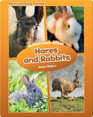 Hares and Rabbits