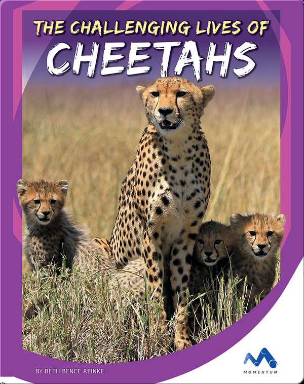The Challenging Lives of Cheetahs