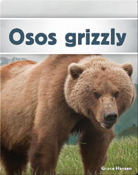 Osos grizzly