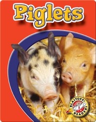 Piglets: Watch Animals Grow