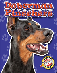 Doberman Pinschers: Dog Breeds