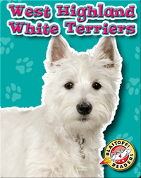 West Highland White Terriers: Dog Breeds