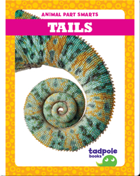 Animal Part Smarts: Tails