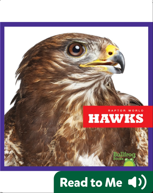 Raptor World: Hawks