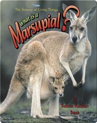 What is a Marsupial?