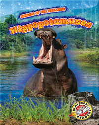 Animals of the Wetlands: Hippopotamuses