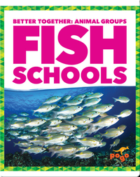 Fish Schools