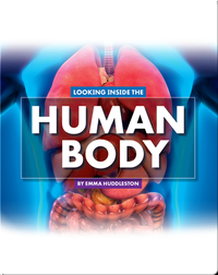 Looking at Layers: Looking Inside the Human Body
