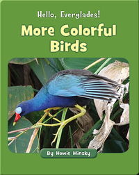 Hello, Everglades!: More Colorful Birds