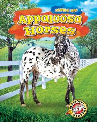 Saddle Up!: Appaloosa Horses