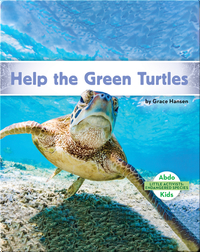 Little Activists: Help the Green Turtles