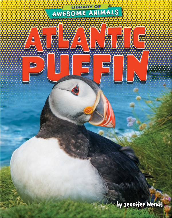 Awesome Animals: Atlantic Puffin