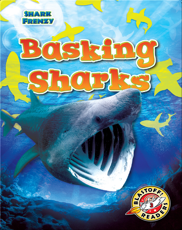 Shark Frenzy: Basking Sharks