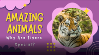 Adventure Family Journal: Let's Learn About Tigers