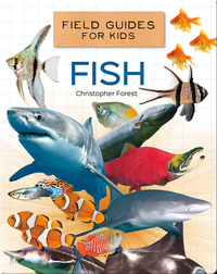 Field Guides for Kids: Fish