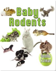 Baby Rodents