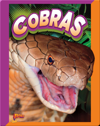 Slithering Snakes: Cobras