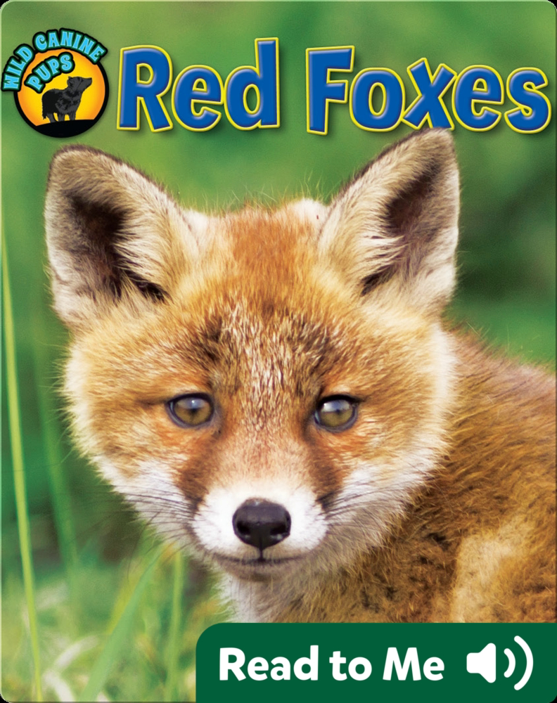 Red Foxes (Wild Canine Pups) Children's Book by Ruth Strother