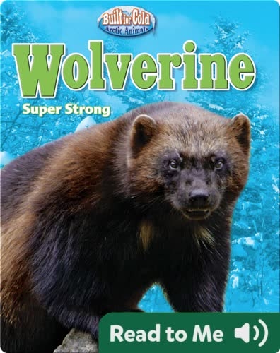 Wolverine: Super Strong