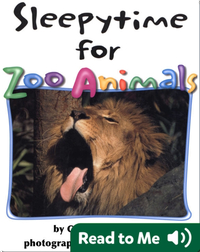Sleepytime for Zoo Animals