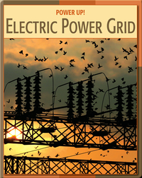 Power Up!: Electric Power Grid