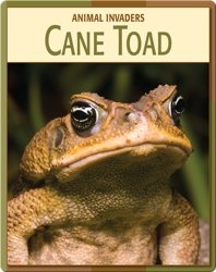 Animal Invaders: Cane Toad