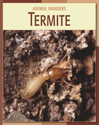 Animal Invaders: Termite