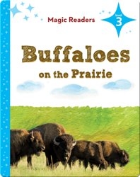 Magic Readers: Buffaloes on the Prairie