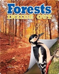 Forests Inside Out