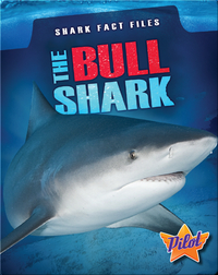 Shark Fact Files: The Bull Shark