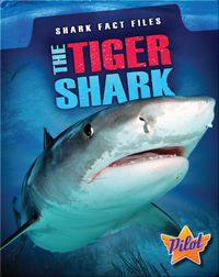 Shark Fact Files: The Tiger Shark
