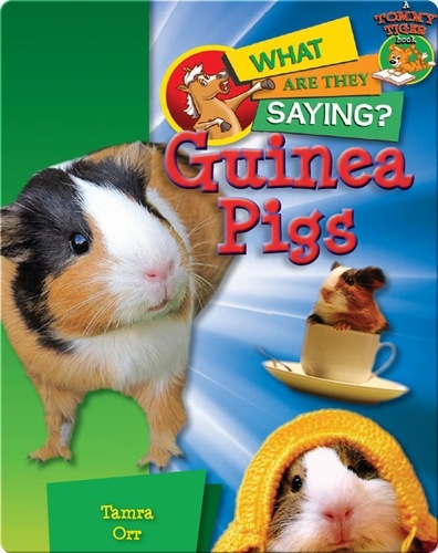 Guinea Pigs: What Are They Saying?