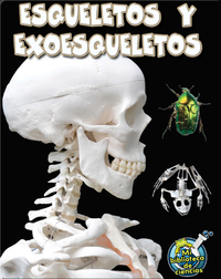 Esqueletos y exoesqueletos