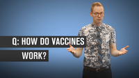 How Do Vaccines Work?