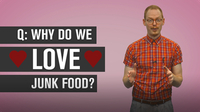 Why Do We Love Junk Food?
