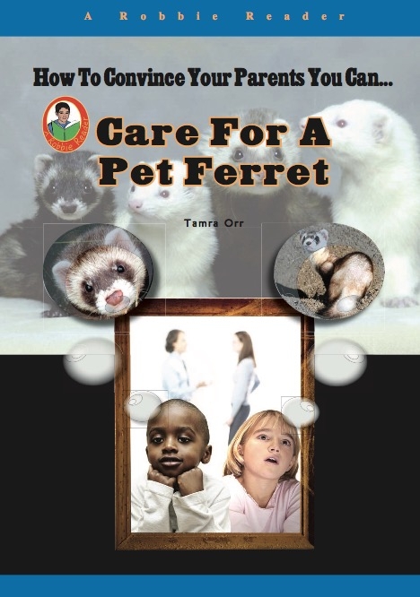 Care for a Pet Ferret