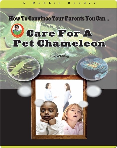 Care for a Pet Chameleon