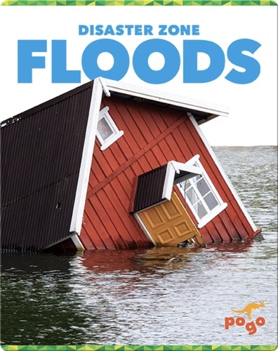 Disaster Zone: Floods