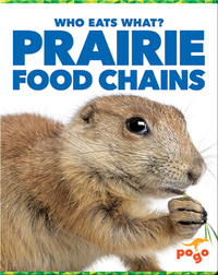 Who Eats What? Prairie Food Chains