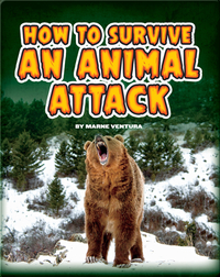How to Survive An Animal Attack