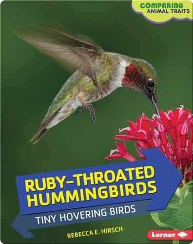 Ruby-Throated Hummingbirds: Tiny Hovering Birds
