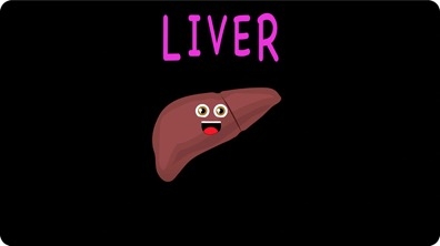 The Human Body for Kids / Liver Song