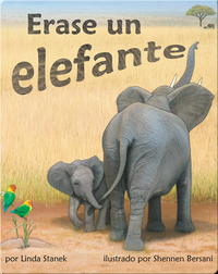 Erase un elefante