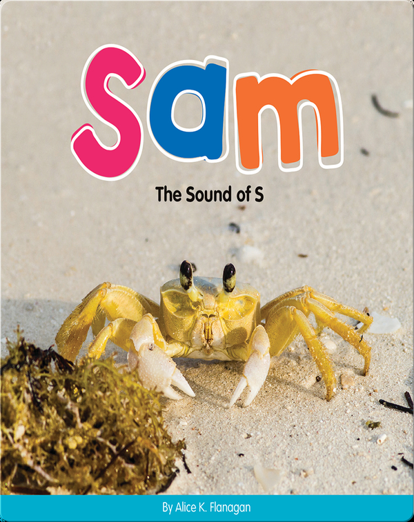 Sam: The Sound of S
